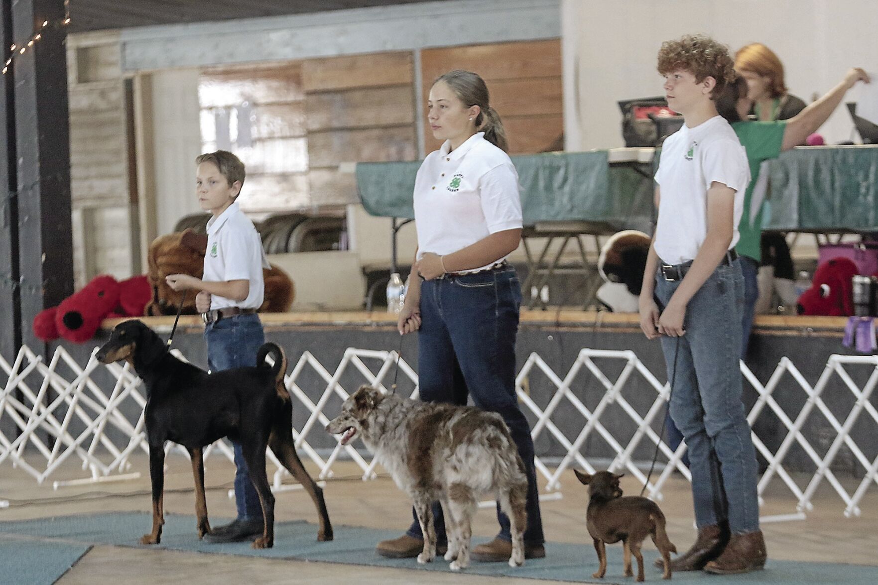 PHOTOS: Scotts Bluff County Fair Dog Show 2020